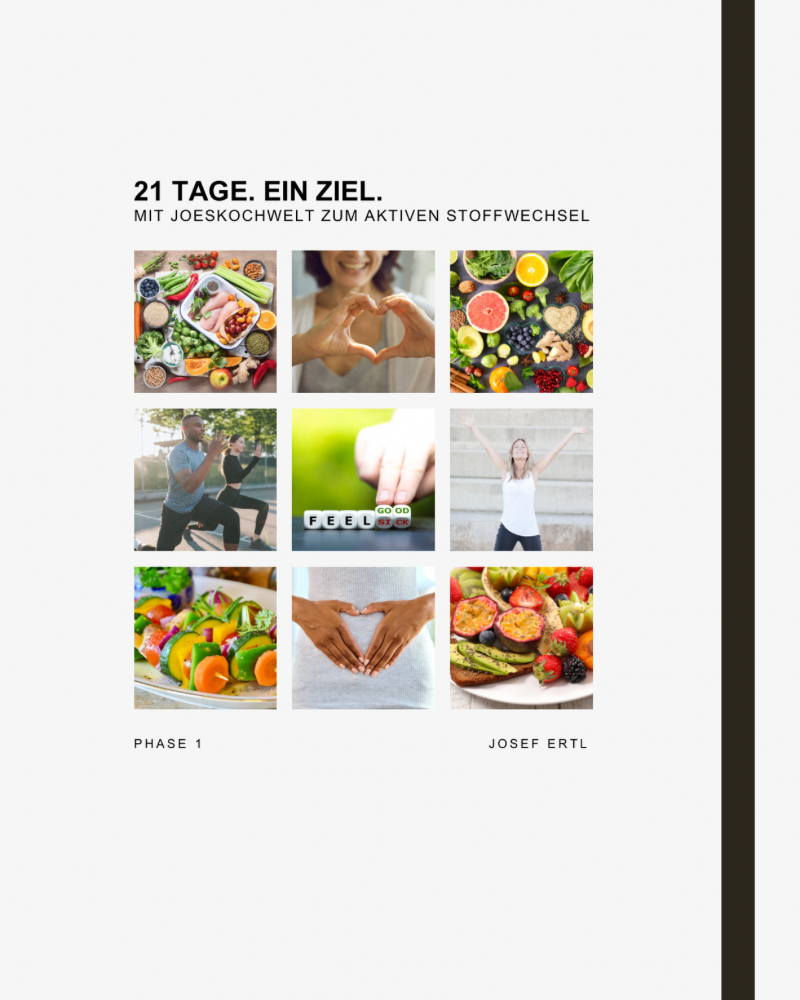 * Workbook Phase 1 - 21 Tage. Ein Ziel. Mit joeskochwelt zum aktiven Stoffwechsel + Einkaufsliste (eWorkbook)