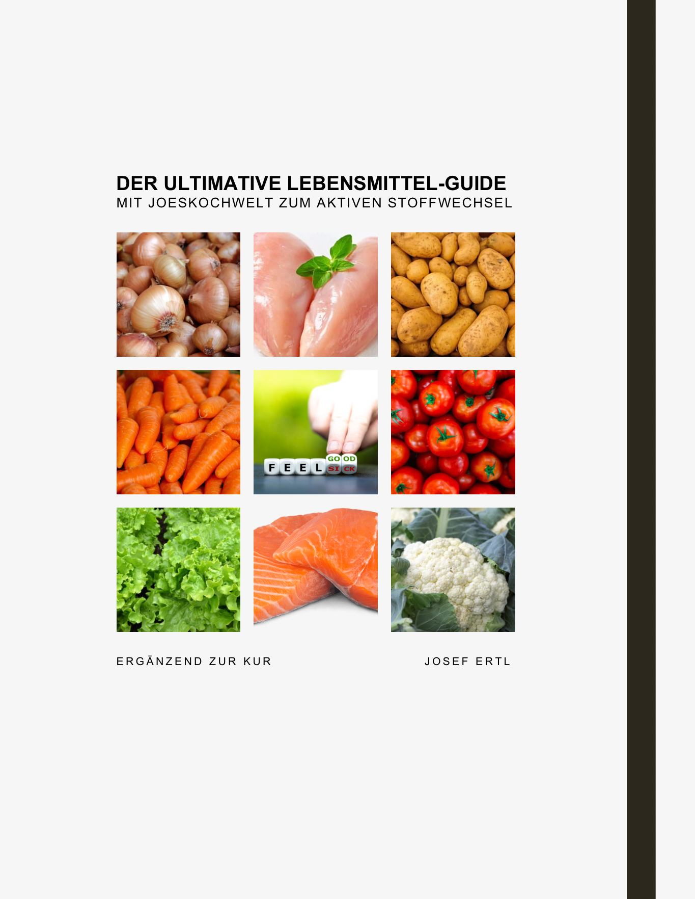 Der ultimative Lebensmittel Guide (ebook)