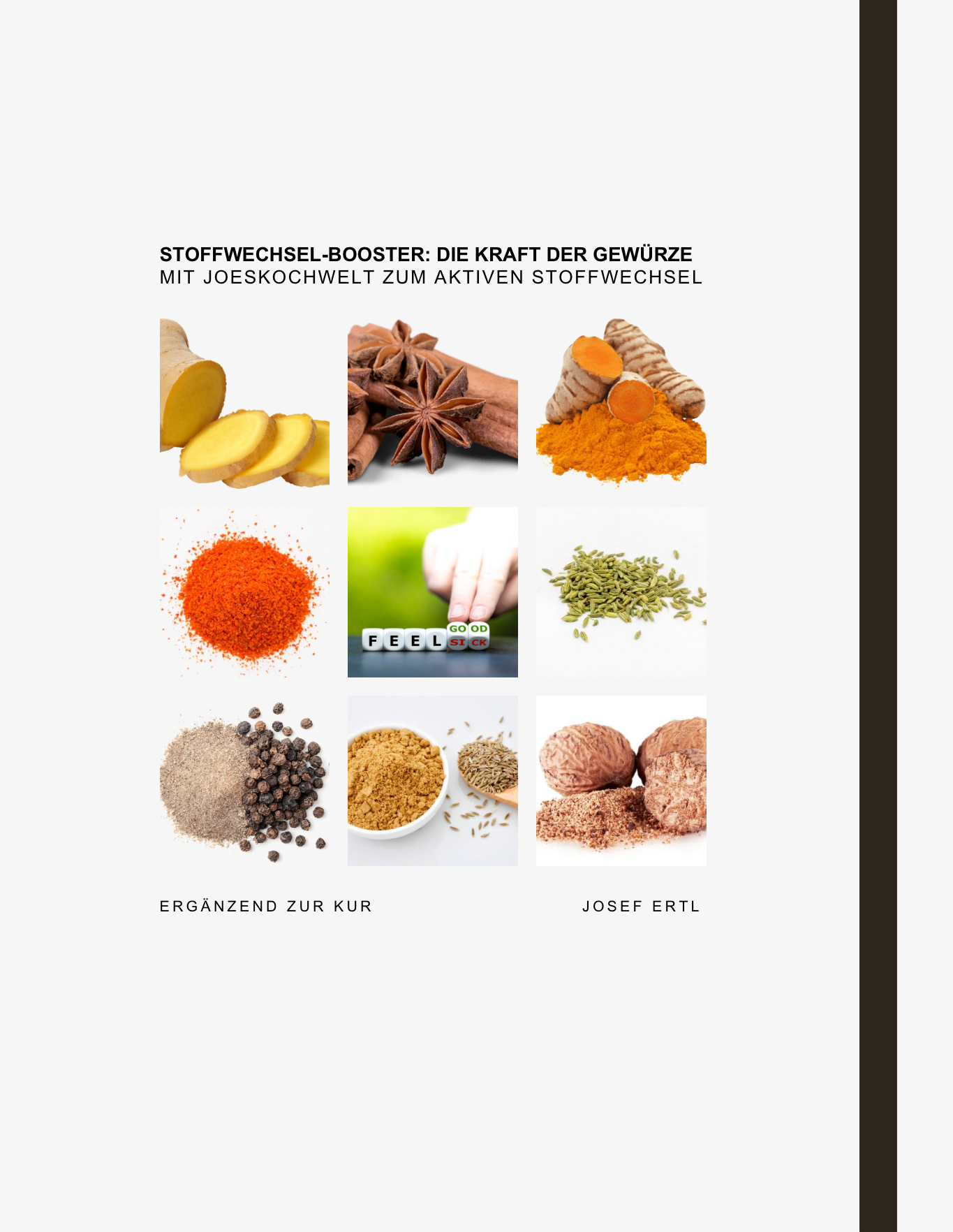 Stoffwechsel-Booster: Die Kraft der Gewürze (ebook)