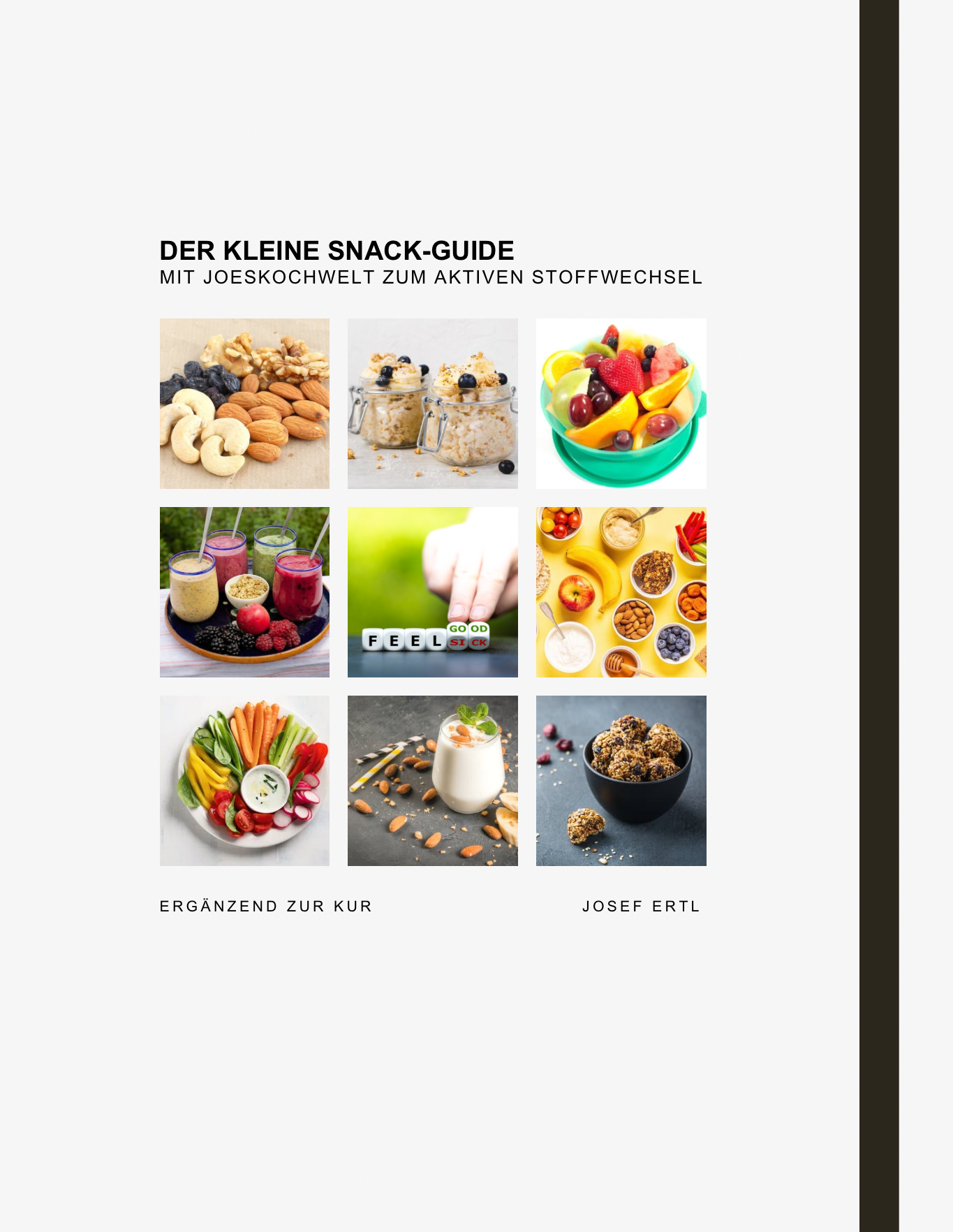 Der kleine Snack Guide (ebook)