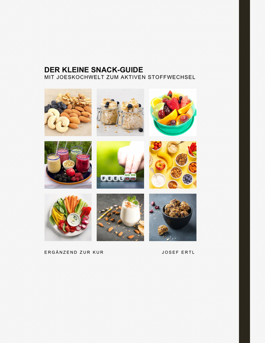 Der kleine Snack Guide (ebook)